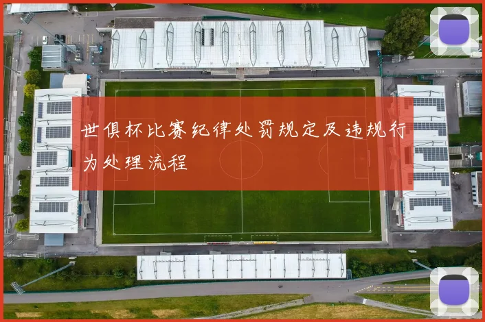 世俱杯比赛纪律处罚规定及违规行为处理流程