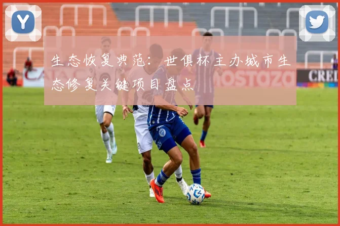 生态恢复典范：世俱杯主办城市生态修复关键项目盘点