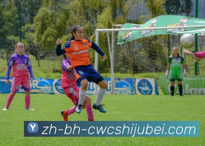 世界杯买球全站App 世界杯买球全站App