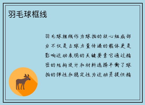 羽毛球框线